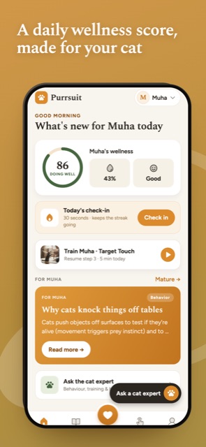 A daily wellness score on the Purrsuit home screen